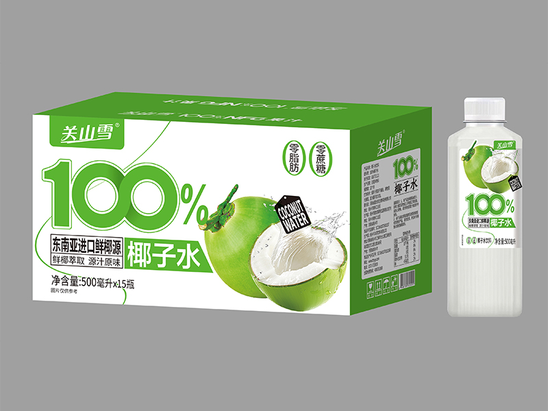 椰子水500mlx15瓶